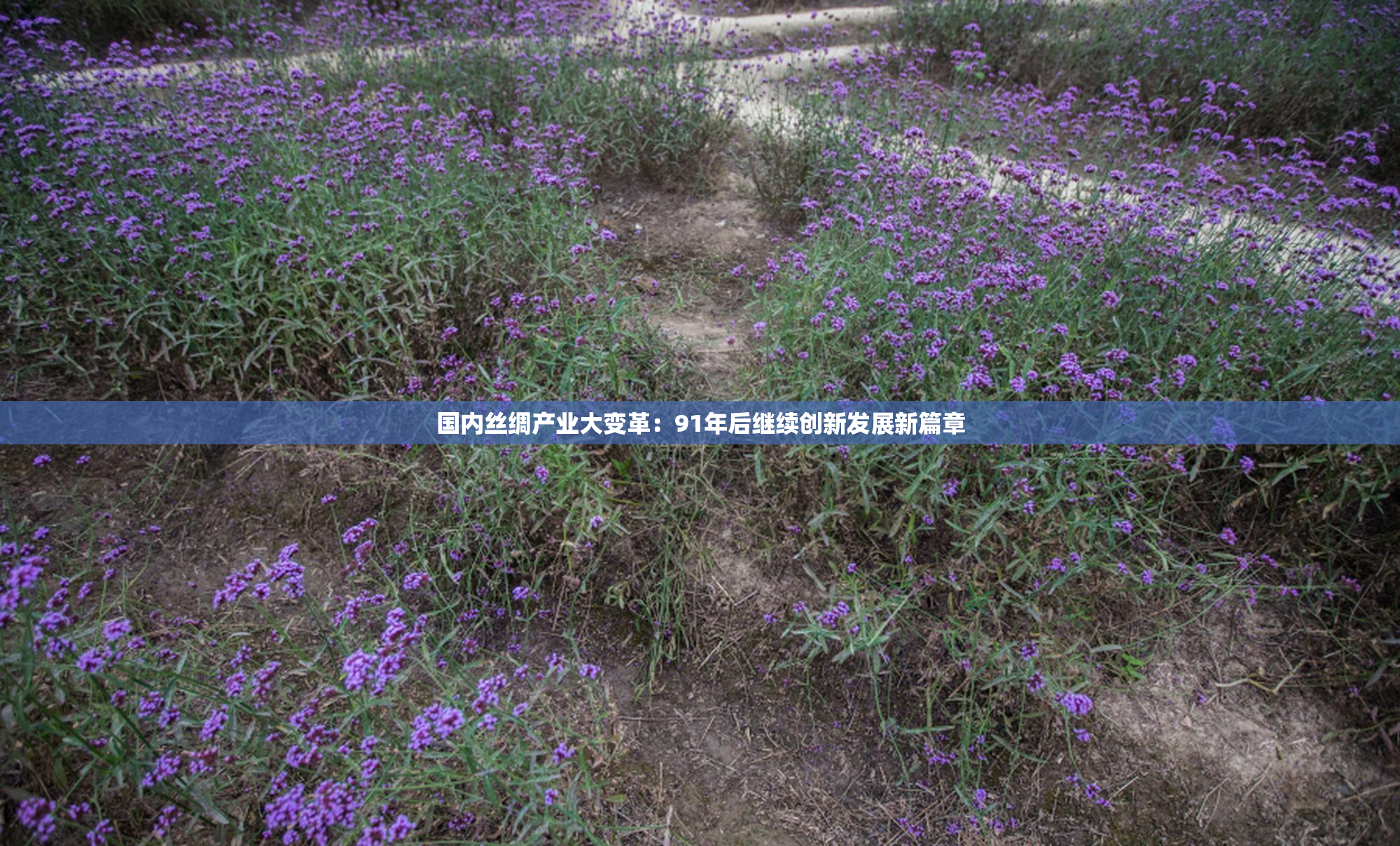 国内丝绸产业大变革：91年后继续创新发展新篇章