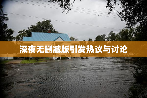 深夜无删减版引发热议与讨论