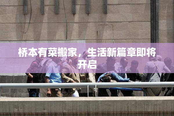 桥本有菜搬家，生活新篇章即将开启