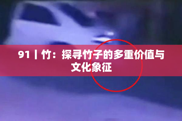 91丨竹：探寻竹子的多重价值与文化象征