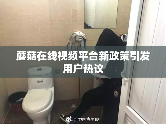 蘑菇在线视频平台新政策引发用户热议