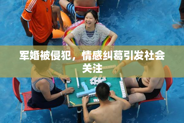 军婚被侵犯，情感纠葛引发社会关注