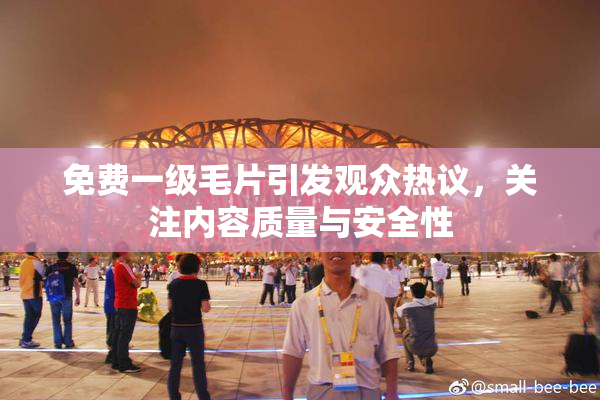 免费一级毛片引发观众热议，关注内容质量与安全性