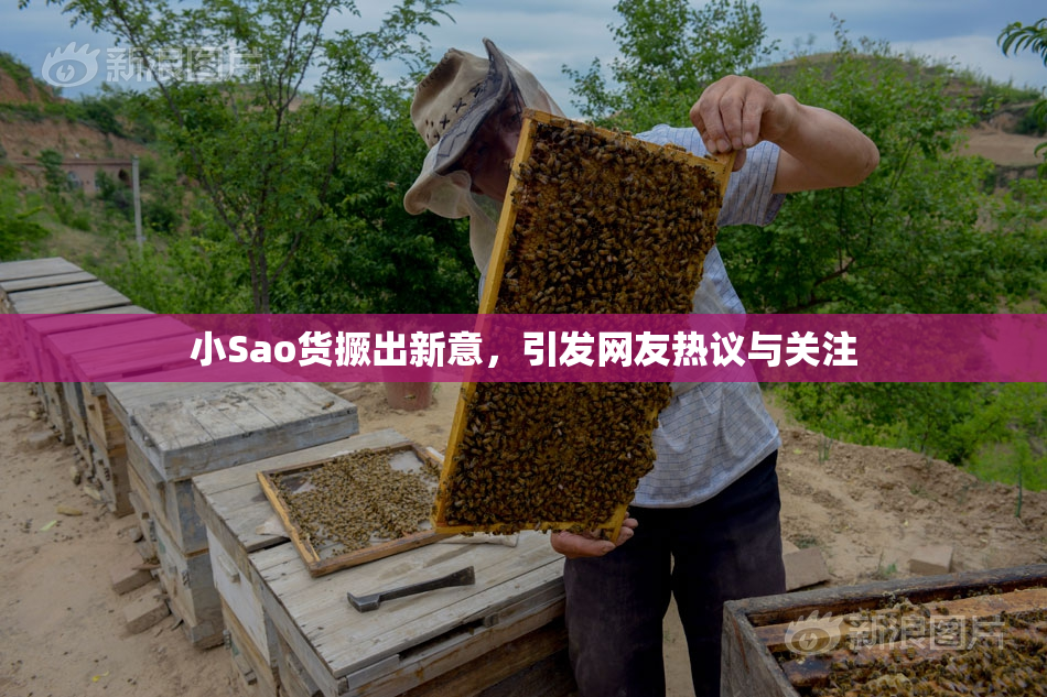 小Sao货撅出新意，引发网友热议与关注