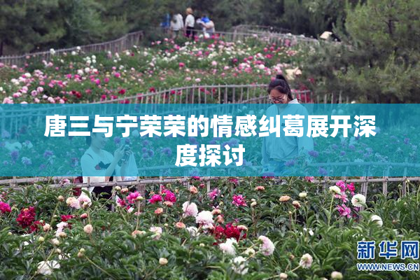 唐三与宁荣荣的情感纠葛展开深度探讨