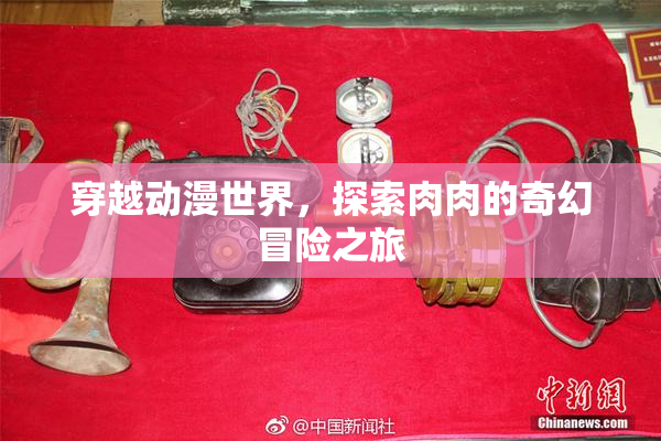 穿越动漫世界，探索肉肉的奇幻冒险之旅
