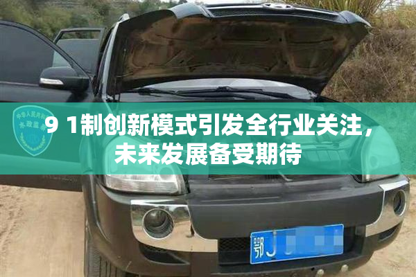 9 1制创新模式引发全行业关注，未来发展备受期待