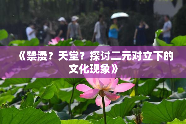 《禁漫？天堂？探讨二元对立下的文化现象》