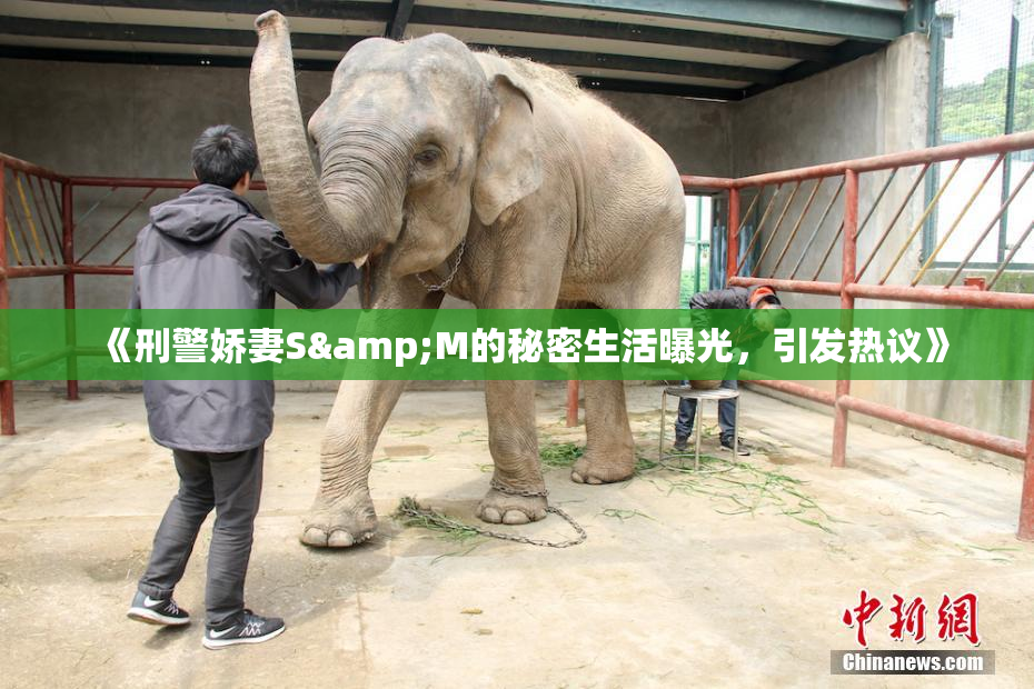 《刑警娇妻S&M的秘密生活曝光，引发热议》