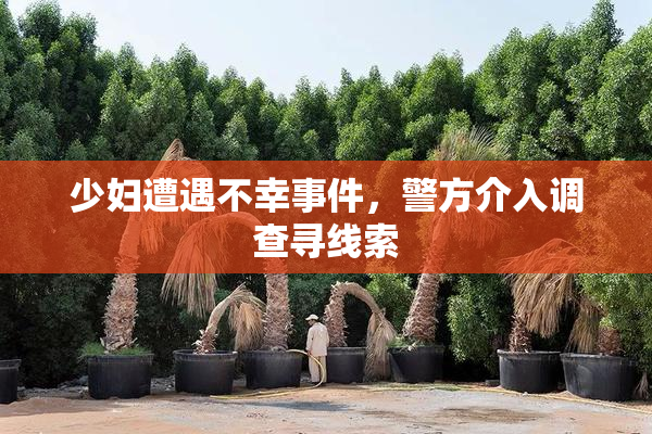 少妇遭遇不幸事件，警方介入调查寻线索