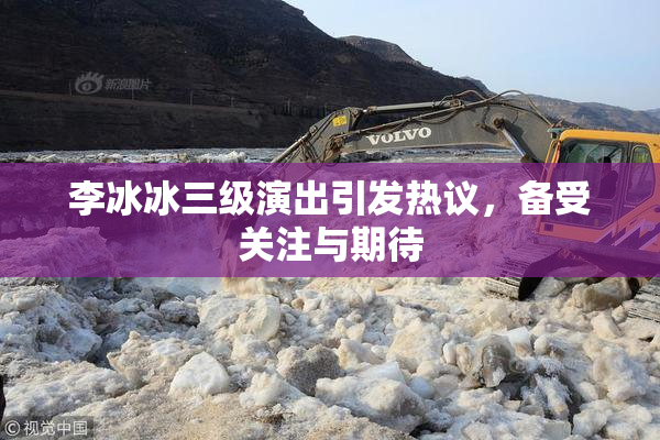 李冰冰三级演出引发热议，备受关注与期待