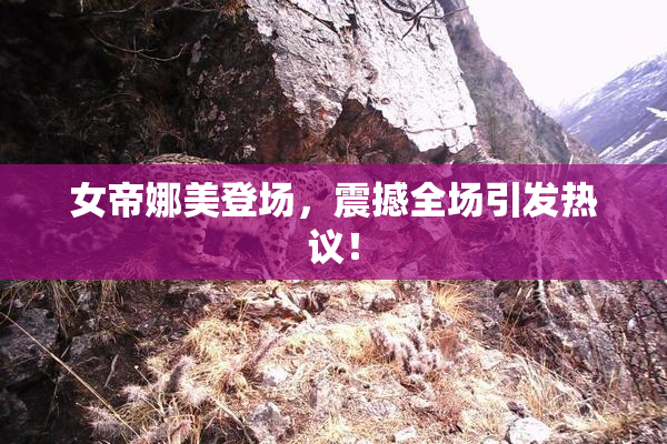 女帝娜美登场，震撼全场引发热议！