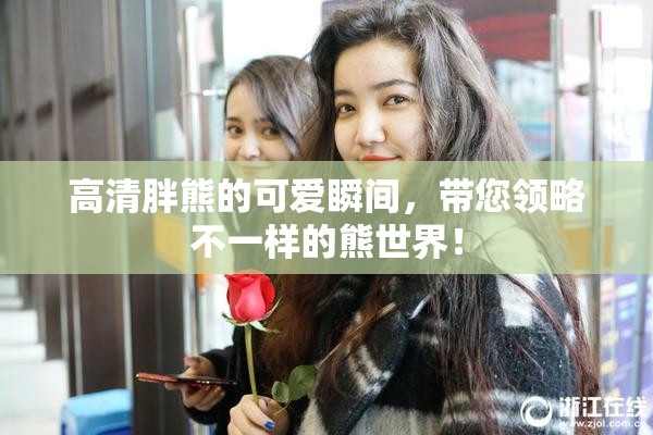 高清胖熊的可爱瞬间，带您领略不一样的熊世界！