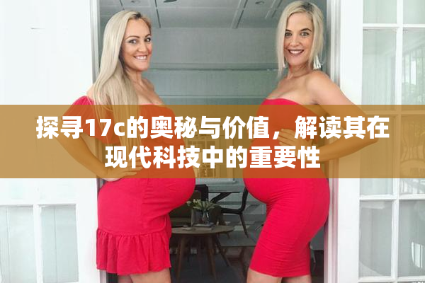 探寻17c的奥秘与价值，解读其在现代科技中的重要性