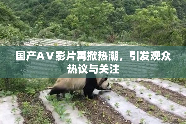 国产AⅤ影片再掀热潮，引发观众热议与关注