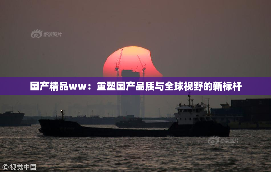 国产精品ww：重塑国产品质与全球视野的新标杆