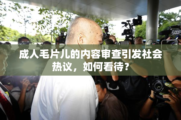 成人毛片儿的内容审查引发社会热议，如何看待？