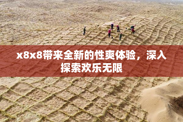 x8x8带来全新的性爽体验，深入探索欢乐无限