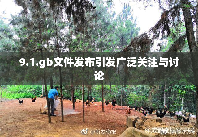 9.1.gb文件发布引发广泛关注与讨论