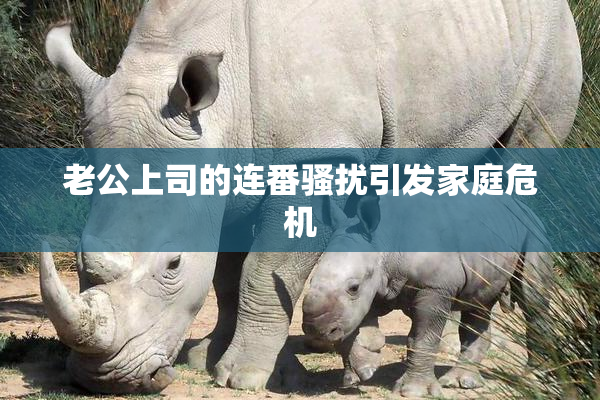 老公上司的连番骚扰引发家庭危机
