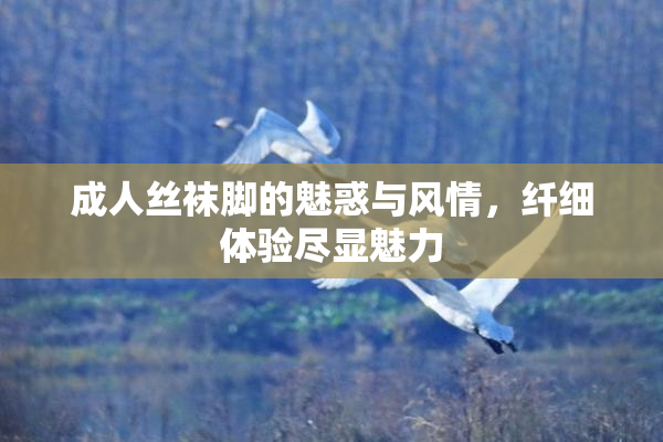 成人丝袜脚的魅惑与风情，纤细体验尽显魅力