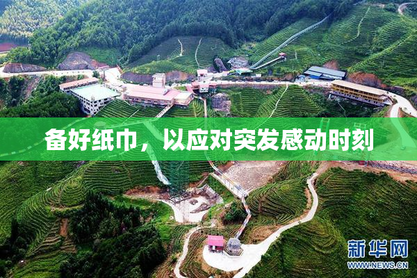 备好纸巾，以应对突发感动时刻