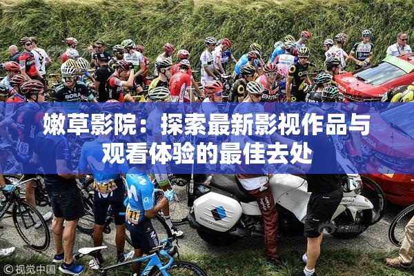 嫩草影院：探索最新影视作品与观看体验的最佳去处