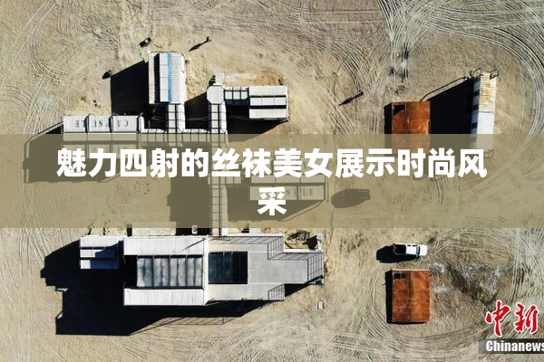 魅力四射的丝袜美女展示时尚风采