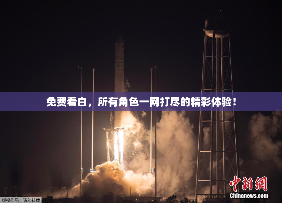 免费看白，所有角色一网打尽的精彩体验！