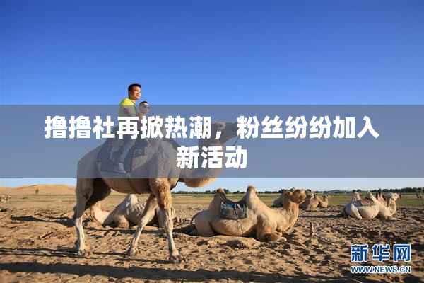 撸撸社再掀热潮，粉丝纷纷加入新活动