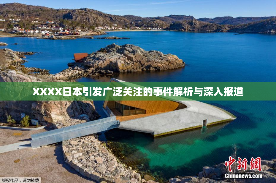 XXXX日本引发广泛关注的事件解析与深入报道