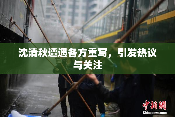 沈清秋遭遇各方重写，引发热议与关注