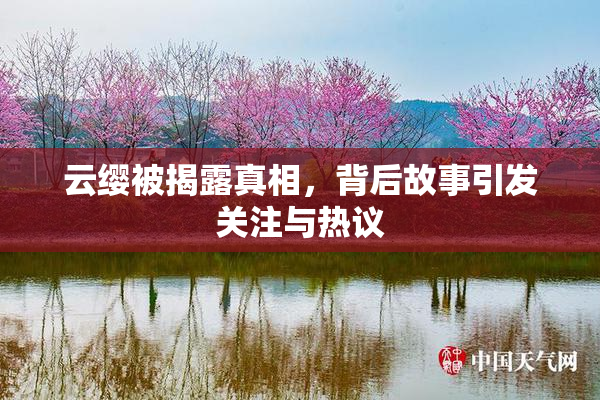 云缨被揭露真相，背后故事引发关注与热议