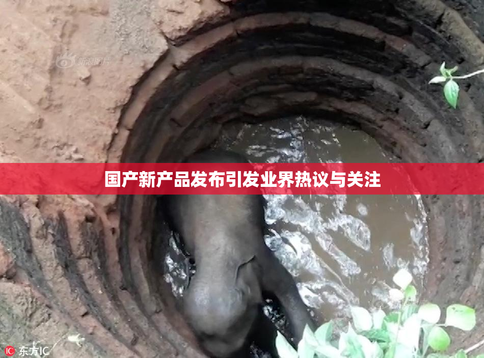 国产新产品发布引发业界热议与关注