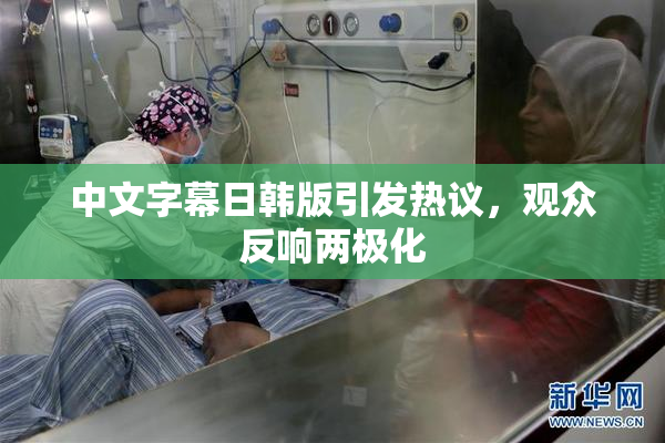 中文字幕日韩版引发热议，观众反响两极化
