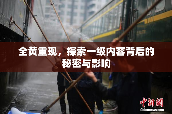 全黄重现，探索一级内容背后的秘密与影响