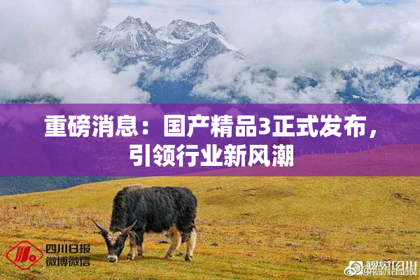 重磅消息：国产精品3正式发布，引领行业新风潮