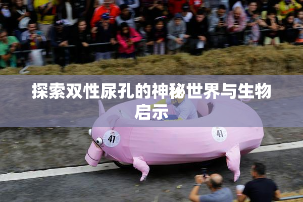 探索双性尿孔的神秘世界与生物启示