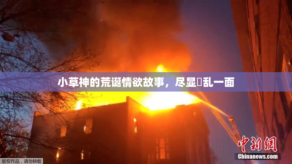 小草神的荒诞情欲故事，尽显婬乱一面