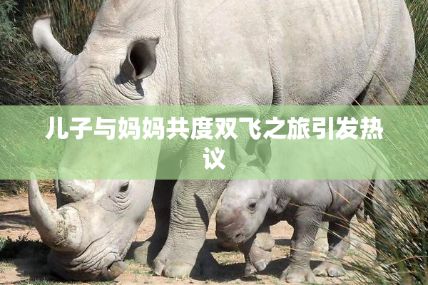 儿子与妈妈共度双飞之旅引发热议