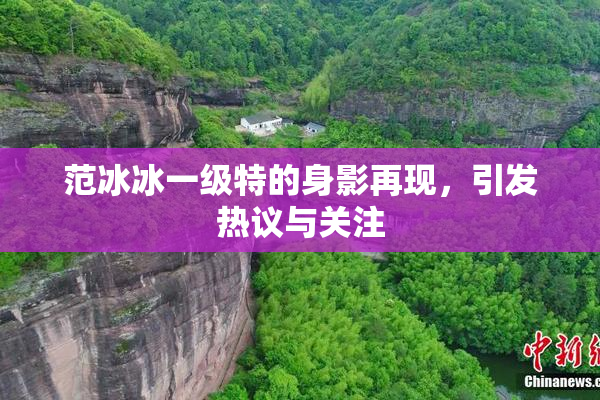 范冰冰一级特的身影再现，引发热议与关注