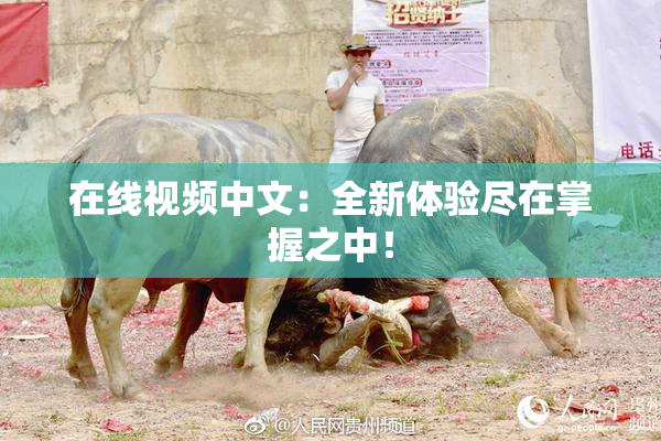 在线视频中文：全新体验尽在掌握之中！