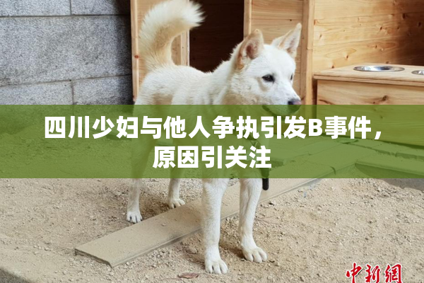 四川少妇与他人争执引发B事件，原因引关注