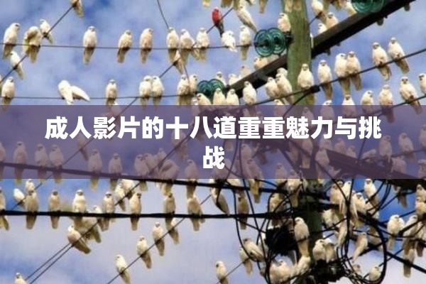成人影片的十八道重重魅力与挑战