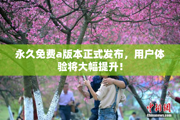 永久免费a版本正式发布，用户体验将大幅提升！
