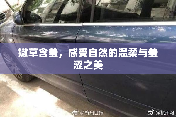 嫩草含羞，感受自然的温柔与羞涩之美