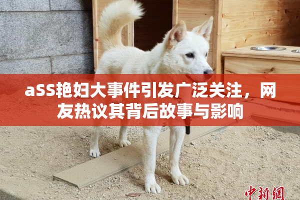 aSS艳妇大事件引发广泛关注，网友热议其背后故事与影响