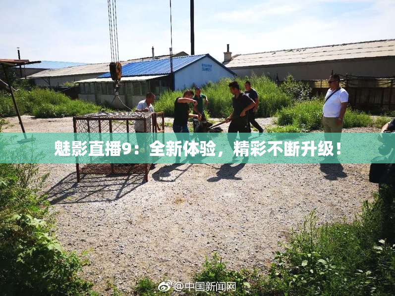 魅影直播9：全新体验，精彩不断升级！