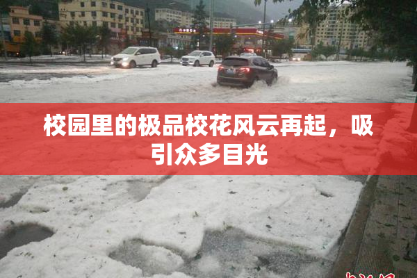 校园里的极品校花风云再起，吸引众多目光