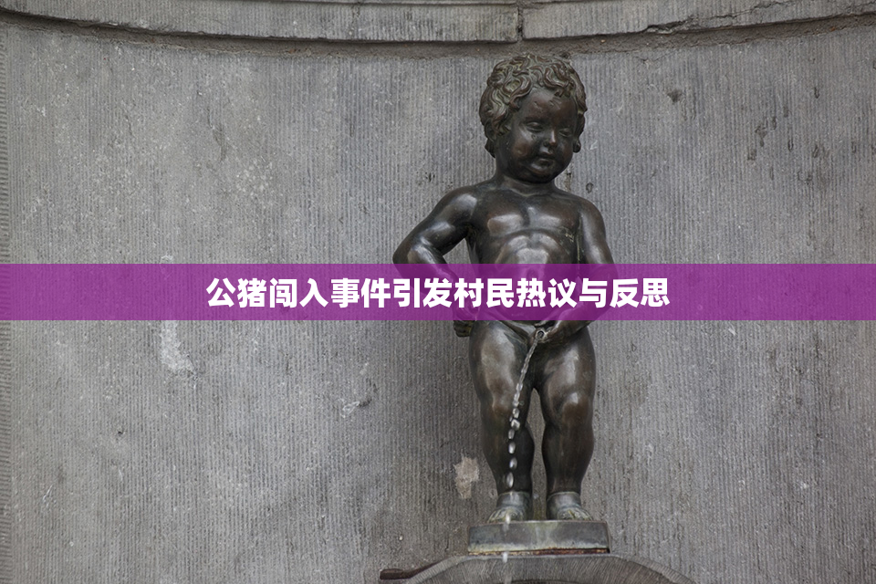 公猪闯入事件引发村民热议与反思